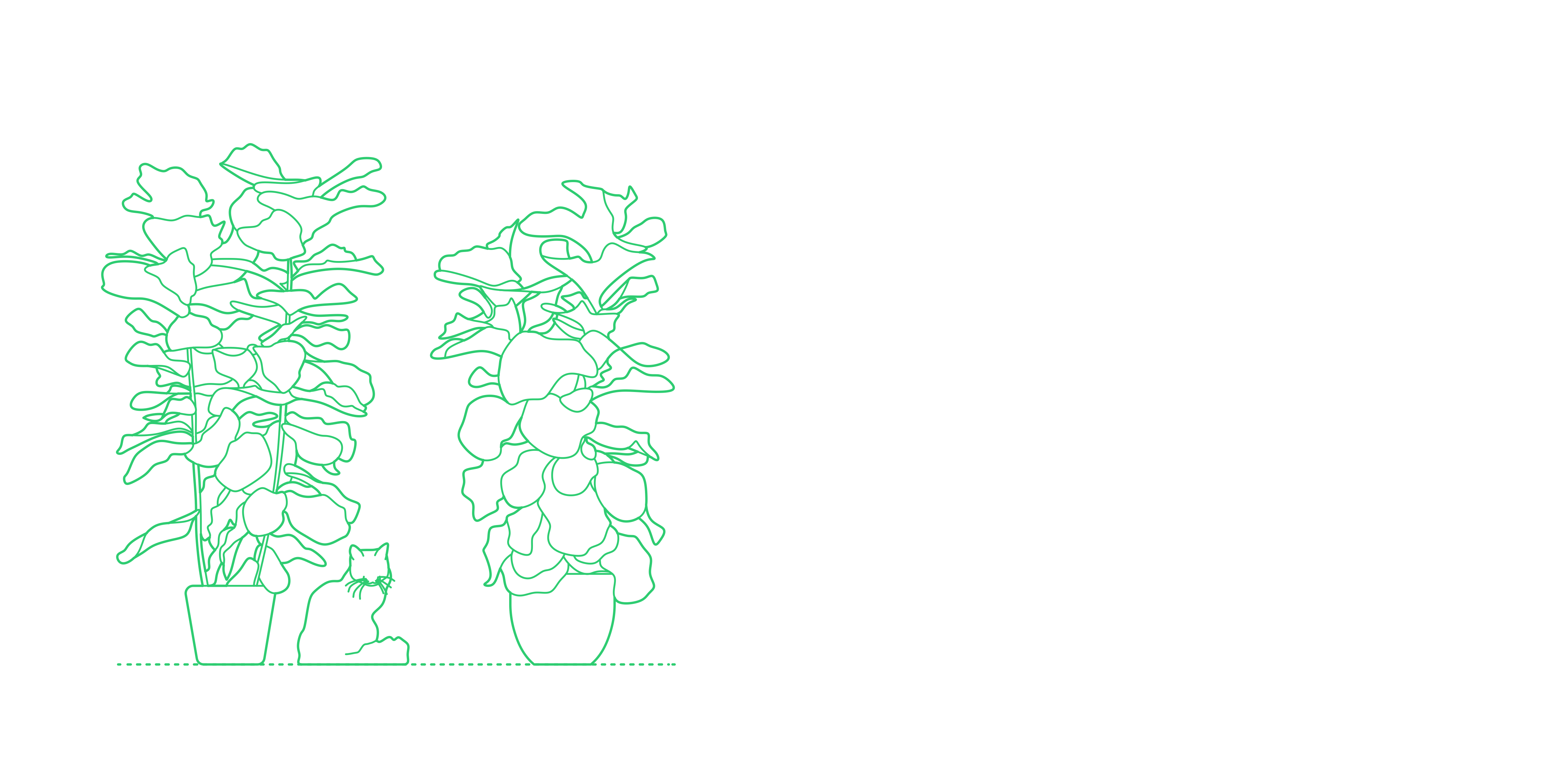 Plants Indoor Fiddle Leaf Fig Silhouette Svg Vector Free Vectors